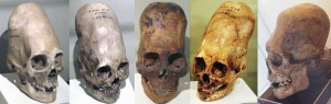 DNA from the Paracas skulls is shown to be something other than human.