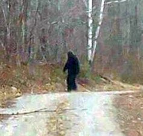 Bigfoot seen in Maine photo: James Stanley