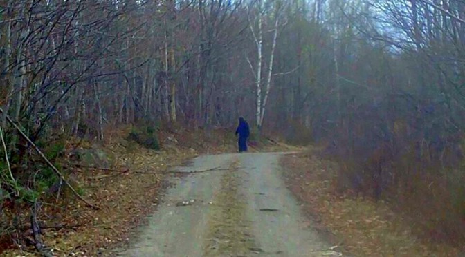 Bigfoot seen in Maine photo: James Stanley